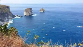 Los tebing Manta Point Nusa Penida
