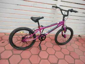 polygon bmx treviso