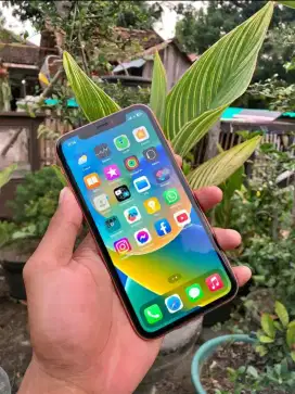 iPhone XR 64GB Coral Mulus Banget