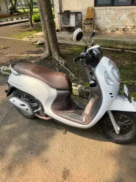 Scoopy Prestige 2023