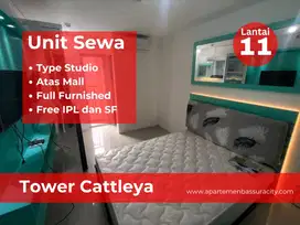 Sewa type studio furnished apartments Bassura City tower C