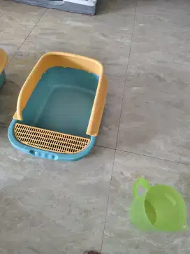 Kitten Litter Box