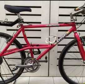 Sepeda Vintage Alpinestar