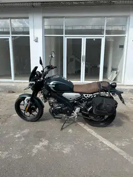 Yamaha XSR 155 2022 Matt Dark Green