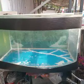 Aquarium cembung Panjang 85cm lebar 40cm tinggi 50cm