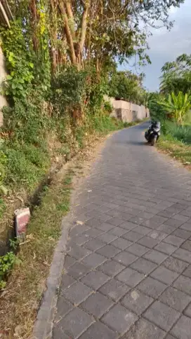 Tanah area perumahan di desa panji singaraja dusun bangah