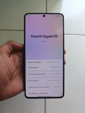 Poco x6 pro 5G  ram 12