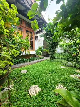Rumah Asri Di Bintaro Sektor 1  4847