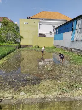 DIJUAL TANAH EXCLUSIVE KAWASAN PERMUKIMAN DENPASAR BARAT