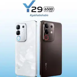 VIVO Y29 TERBARU 6500MAH