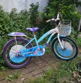 Sepeda anak ring 20 Family