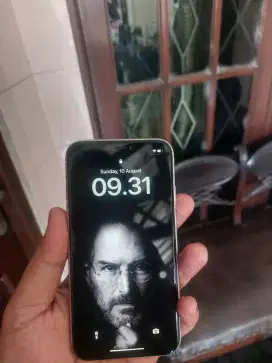 iPhone 11 256GB