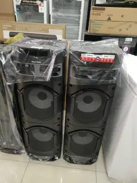 speaker Polytron PAS 10DF22