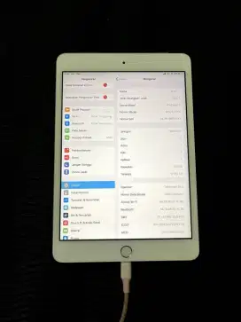 iPad mini 3 128gb cellular + wifi