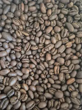 Kopi Gayo Arabica