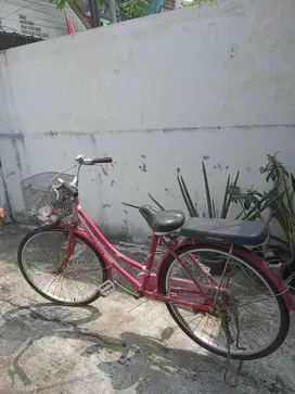 Sepeda Keranjang