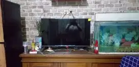 Bekas rasa baru