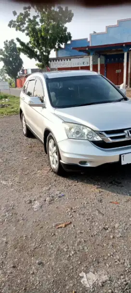 Crv mulus istimewa