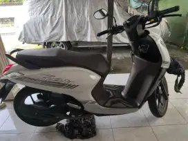 Genio 2021 Putih