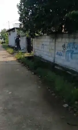 Di Sewakan Sebidang Tanah Darat DI Pinggir Jl. Lingkar Tanjung Pura