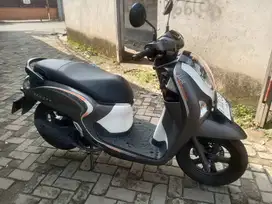 SCOOPY Tahun 2024 Pajak Panjang - Maulana Motor
