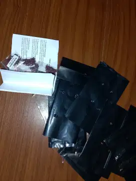 700 bibit bawang merah + 50 polybag
