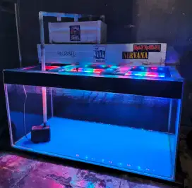 Aquarium 80x40x40 Fullset