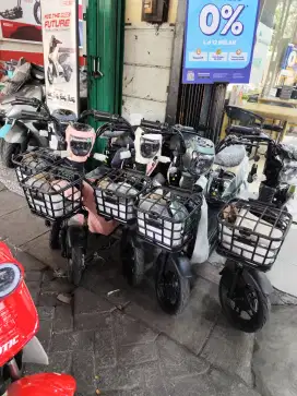 Sepeda listrik Tora T030