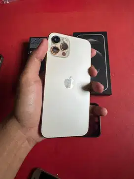 Iphone 12 pro 256gb inter gold