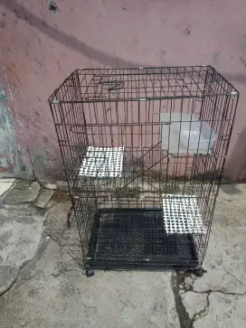 jual kadang kucing