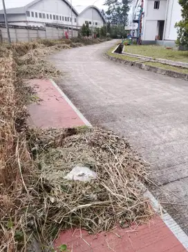 Jasa potong rumput
