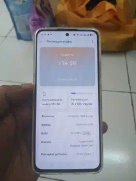Realme 13 plus ram 12/256 hp dan cas ori