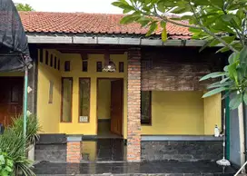 Kontrakan Rumah Asri Luas dan Adem
