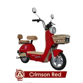 SEPEDA LISTRIK PACIFIC VENTURA R1