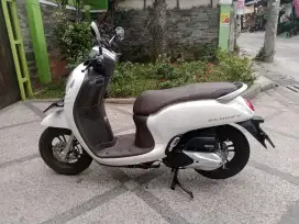Honda Scoopy prestige 110cc Tahun 2024