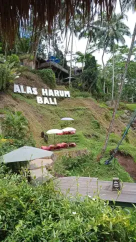 Mencari pekerjaan
