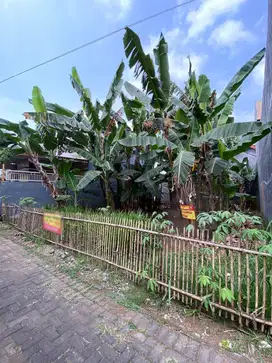 Dijual Cepat Tanah Kavling Luas Murah Di Tamanharjo  Singosari Malang