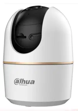 Cctv online dahua