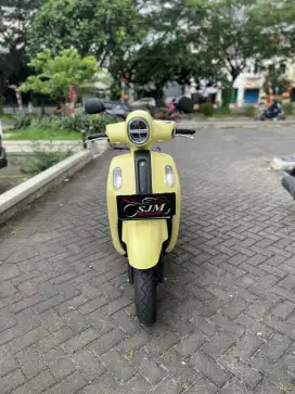 Fazzio 2024 Pajak Panjang