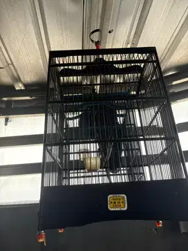 sangkar kandang burung kotak oriq no 3