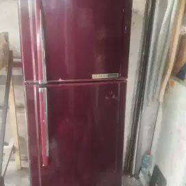 Kulkas 2 pintu TOSHIBA