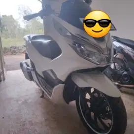 Honda pcx 150 putih