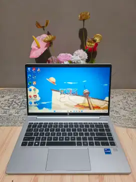 Probook 440 G8 i7 gen 11 dual VGA