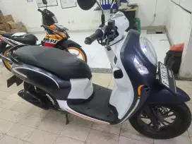 Honda scoopy fashion 2023