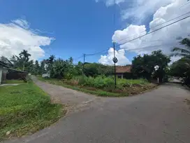 Tanah Murah Tanjung Lumut Selincah Kota Jambi