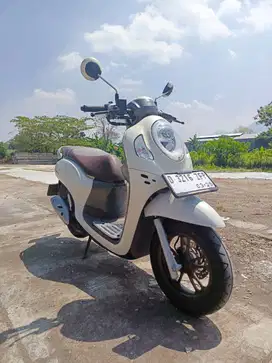 Honda scoopy prestige putih tahun 2024