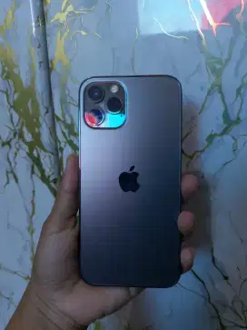 IPhone 12 PRO 256GB inter