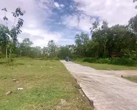 Jual Tanah  Jl. Gotakan Kulon Progo Dekat Exit Tol Wates-Jogja
