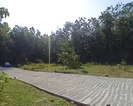 Tanah Dekat Samsat Kulon Progo Gotakan 100 Jutaan Nego