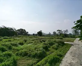Tanah Ngombol Purworejo Dekat Pantai Glagah 100 Jutaan